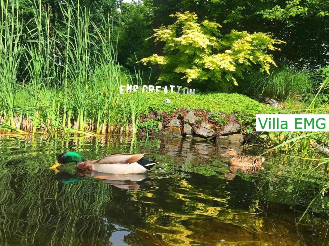 Luxury Family Holidays Villa In Emsdetten Munster Zewnętrze zdjęcie