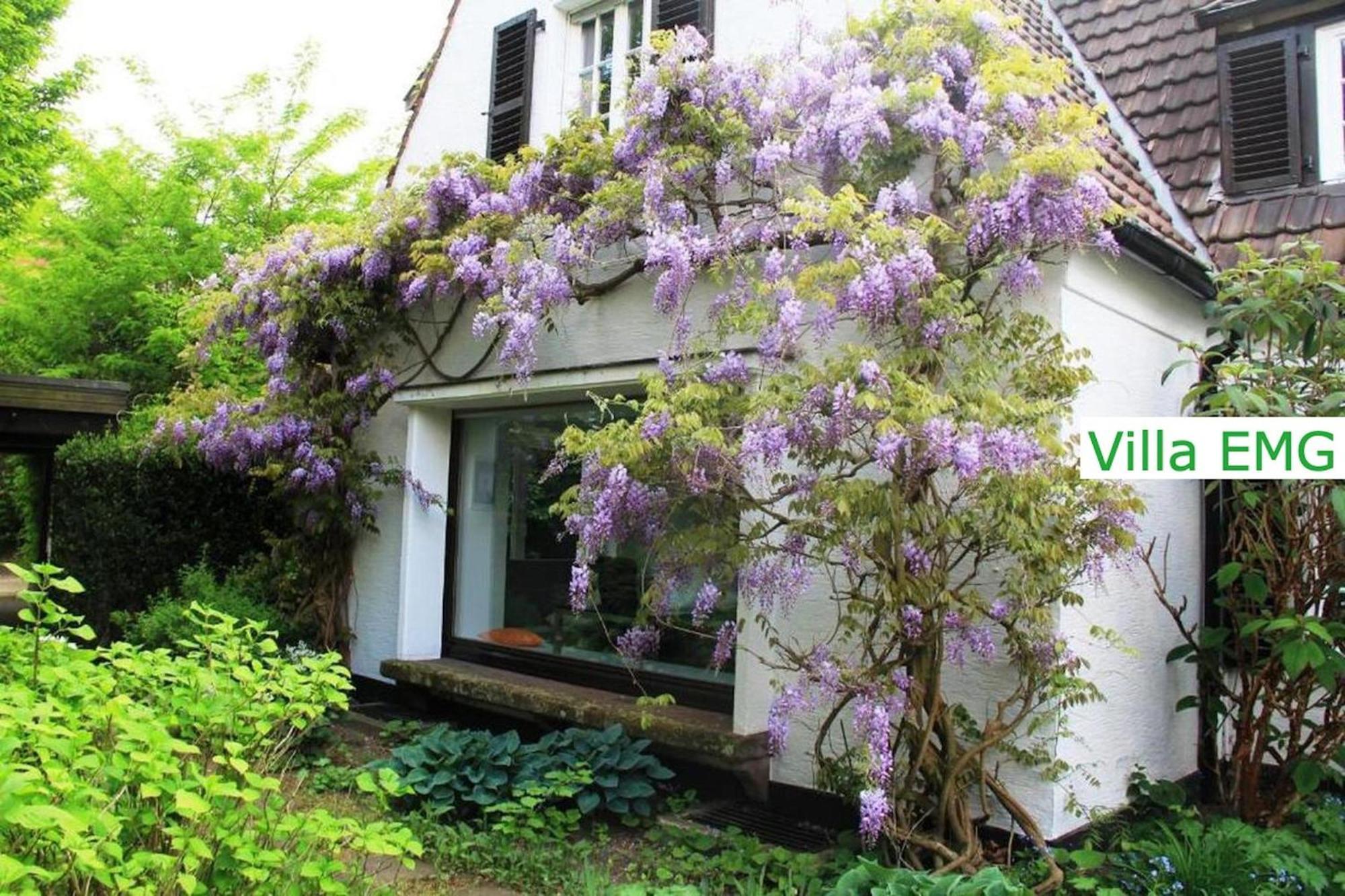 Luxury Family Holidays Villa In Emsdetten Munster Zewnętrze zdjęcie